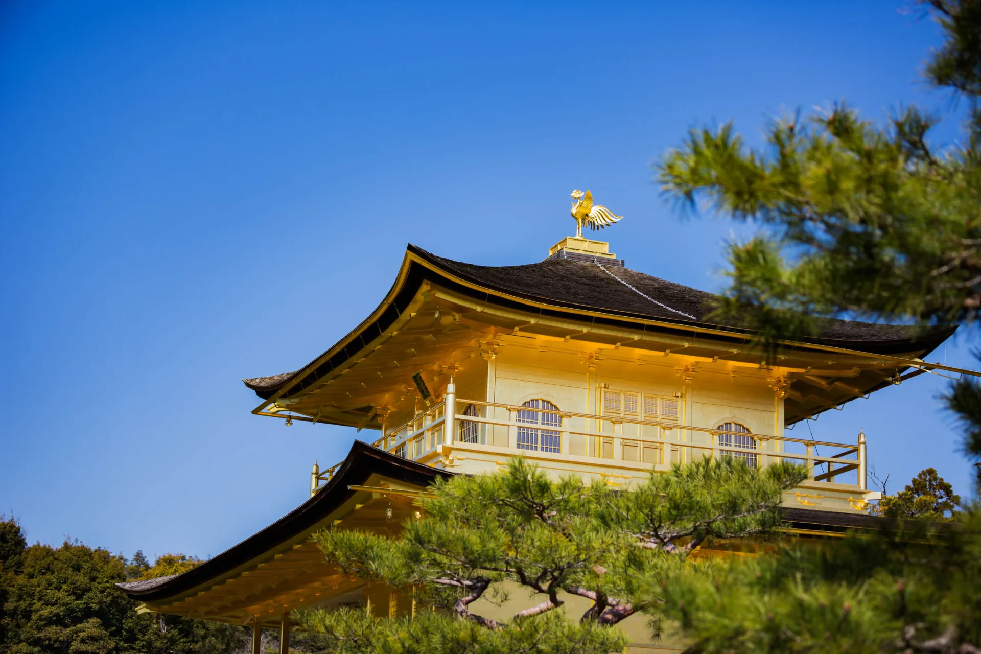 Szczyt Złotego Pawilonu w Kioto Szczyt Złotego Pawilonu w Kioto