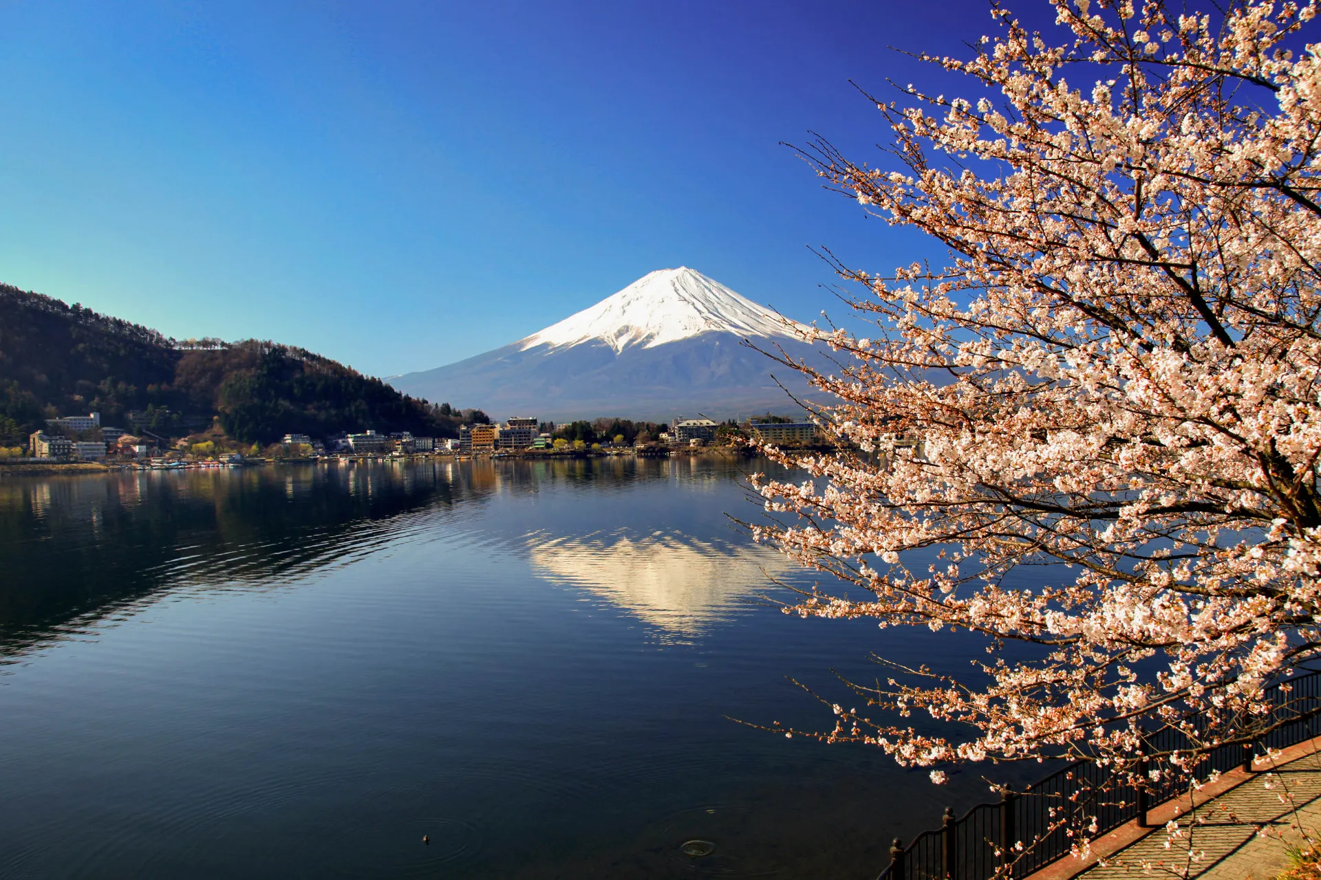 Święta góra Fudżi