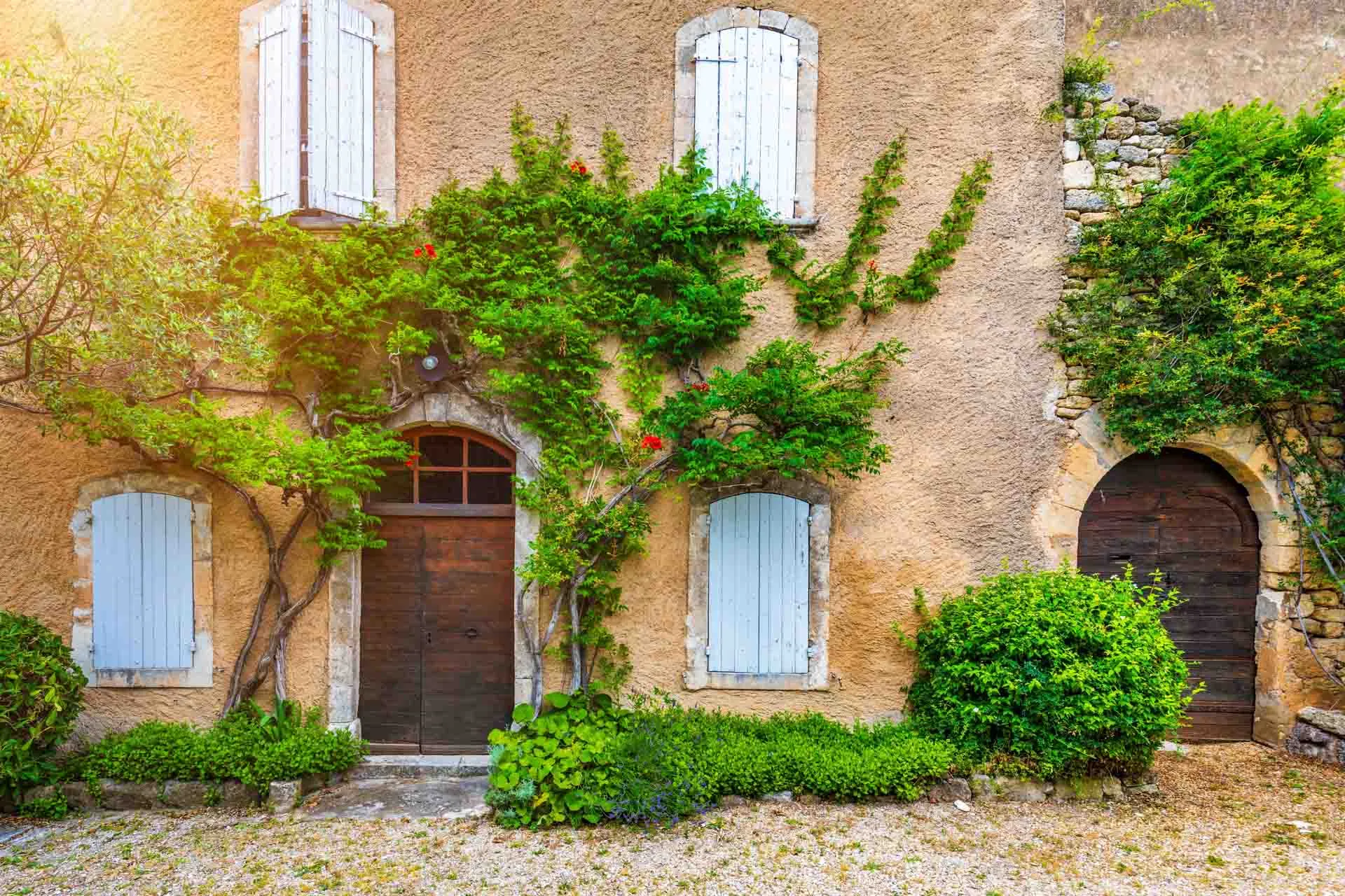 Jeszcze więcej Ménerbes