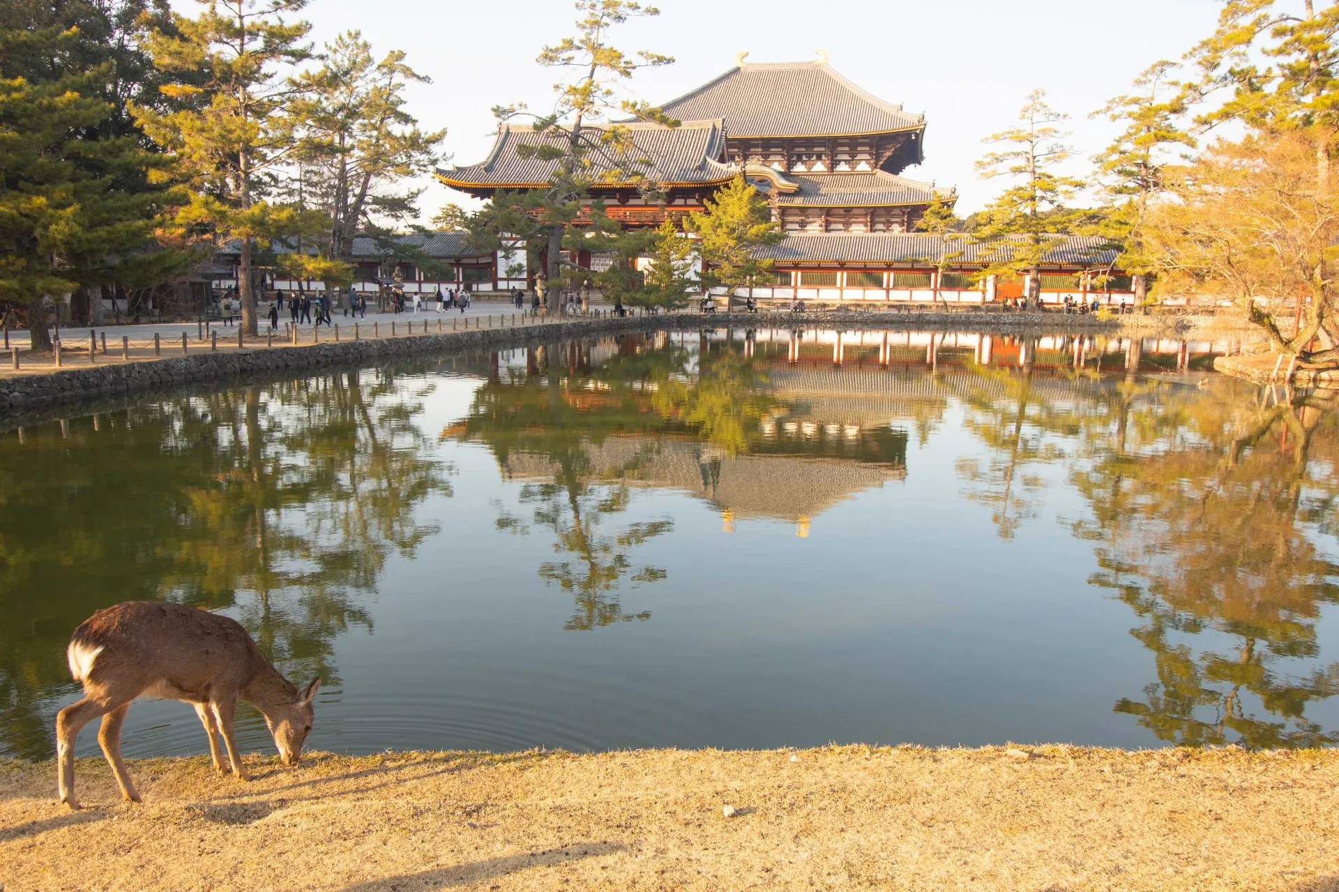 Złoty Pawilon w Kioto