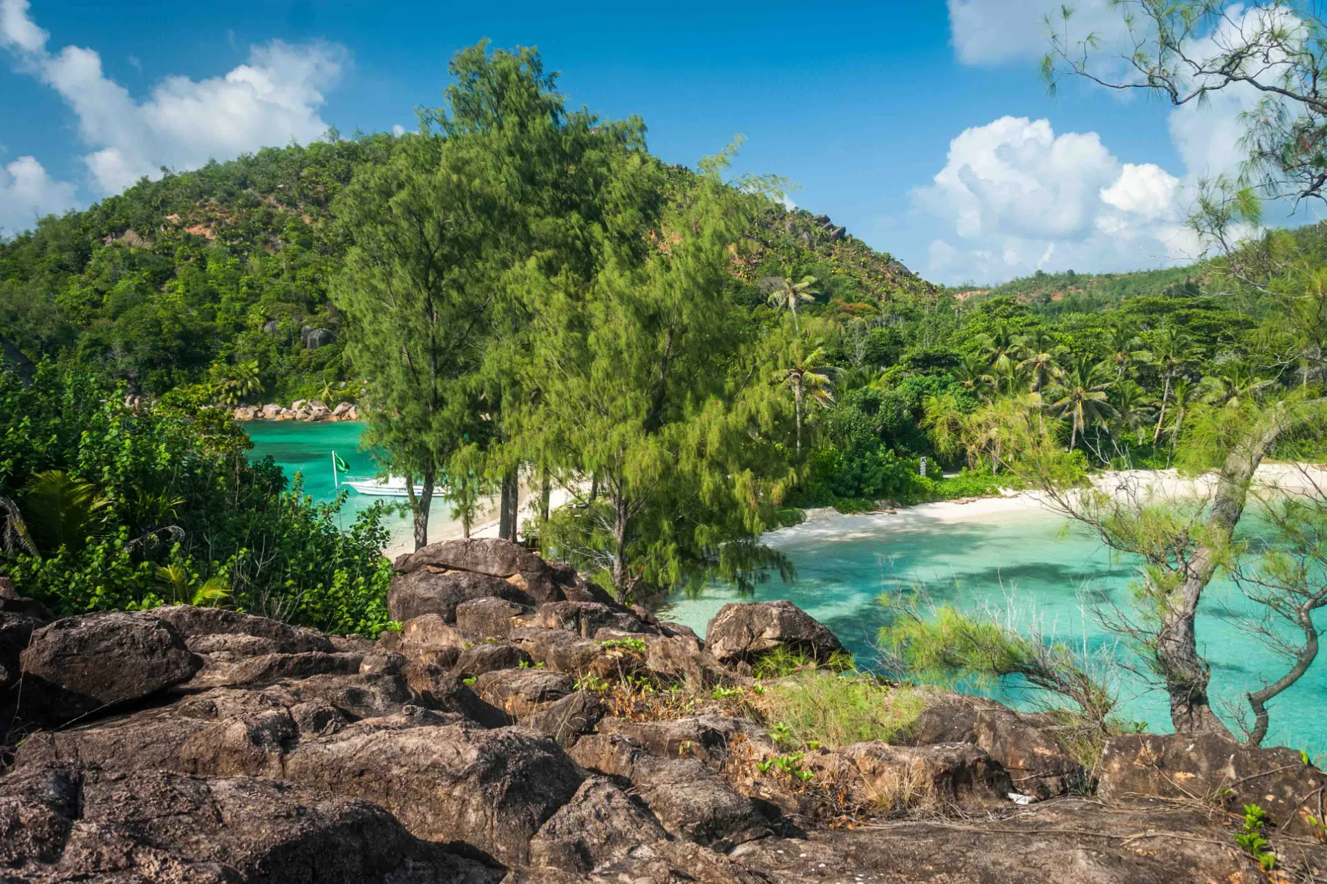 Drzewa, klify, piasek i woda