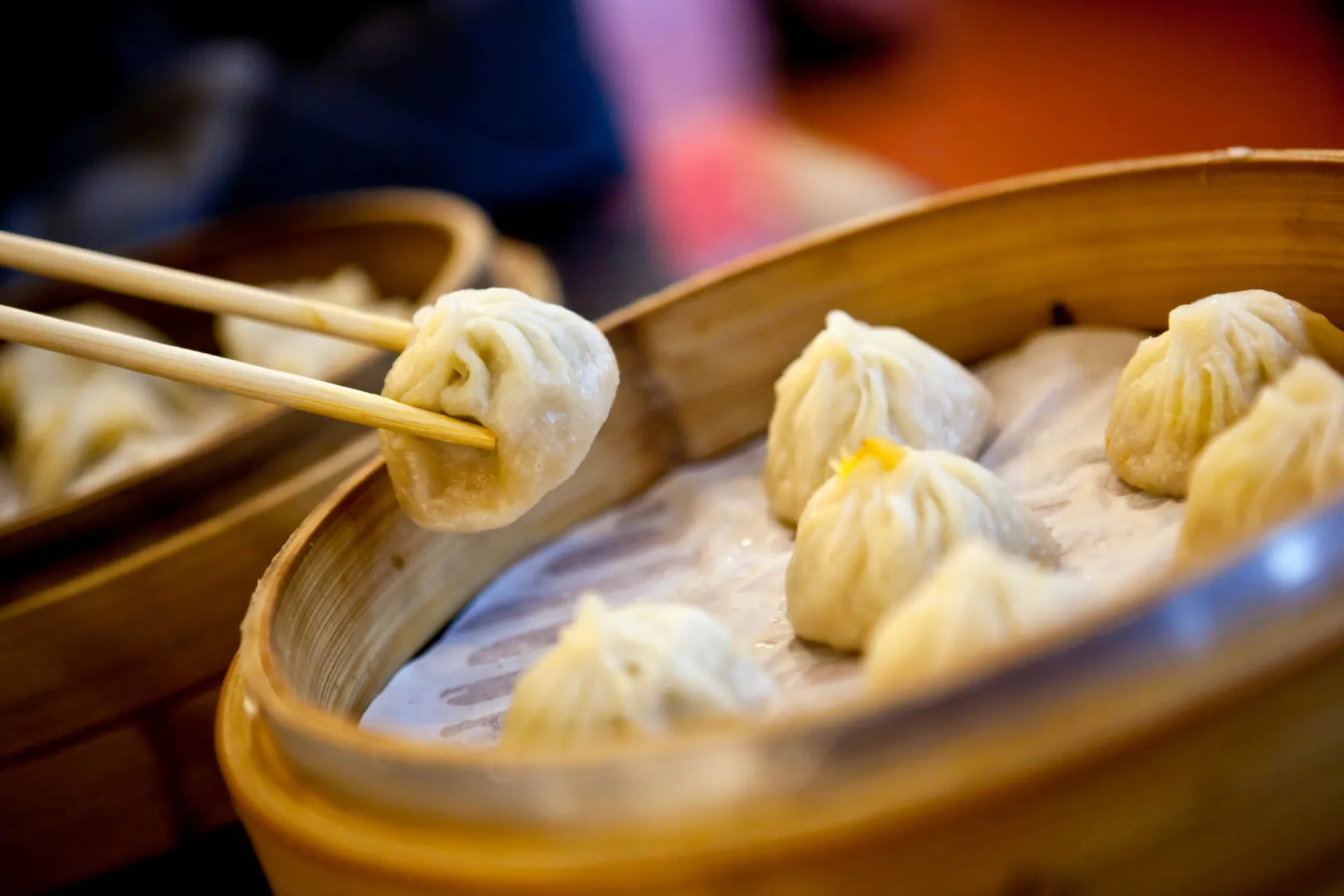 Pierogi dim sum