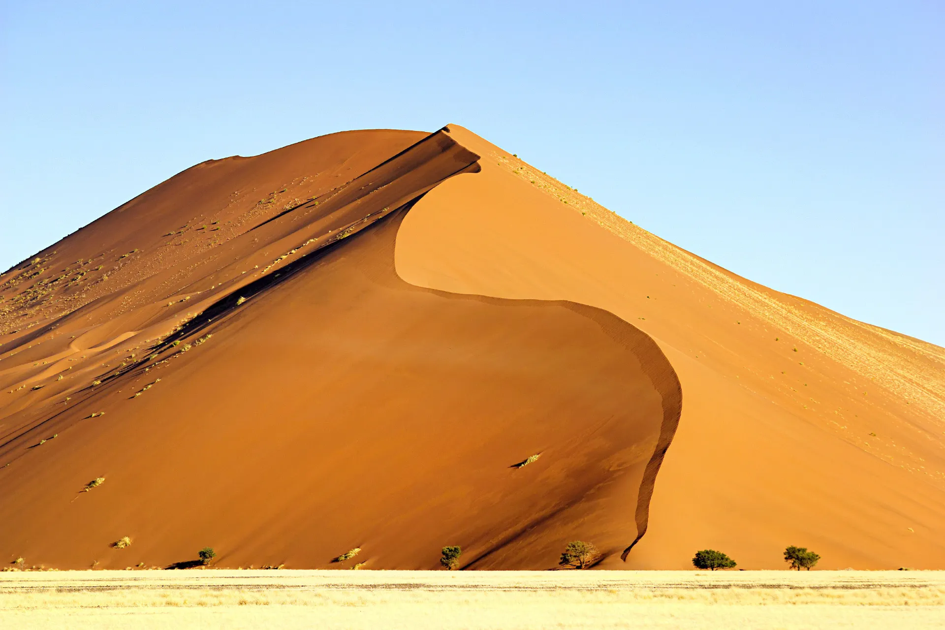 Jedna z kultowych czerwonych wydm Sossusvlei majestatycznie wznosi się ku czystemu niebu