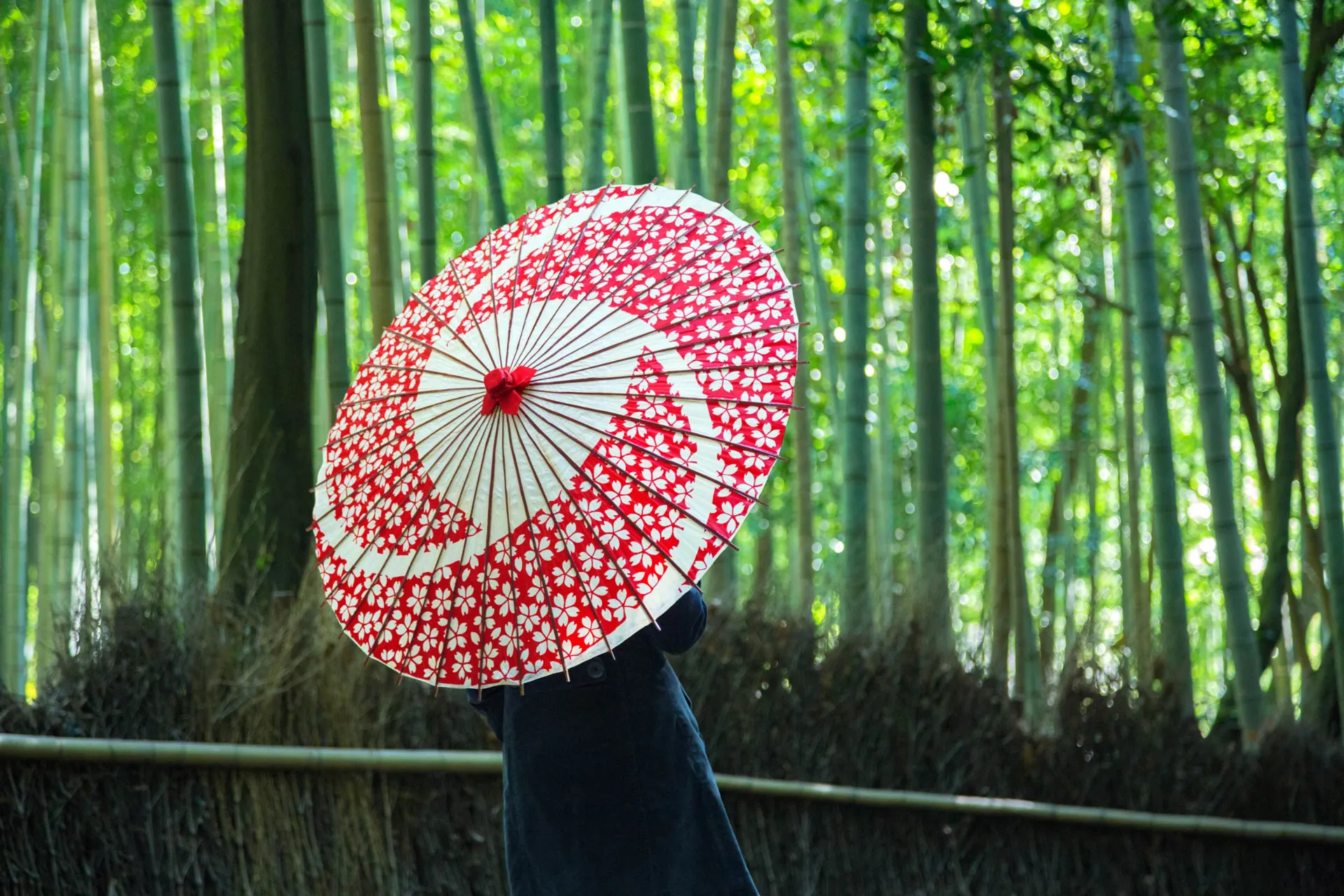 Bambusowy las w Arashiyamie