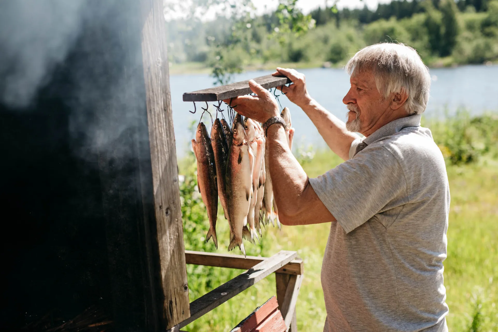 Świeżo złowiona ryba nad brzegiem jeziora przygotowywana do wędzenia Świeżo złowiona ryba nad brzegiem jeziora przygotowywana do wędzenia