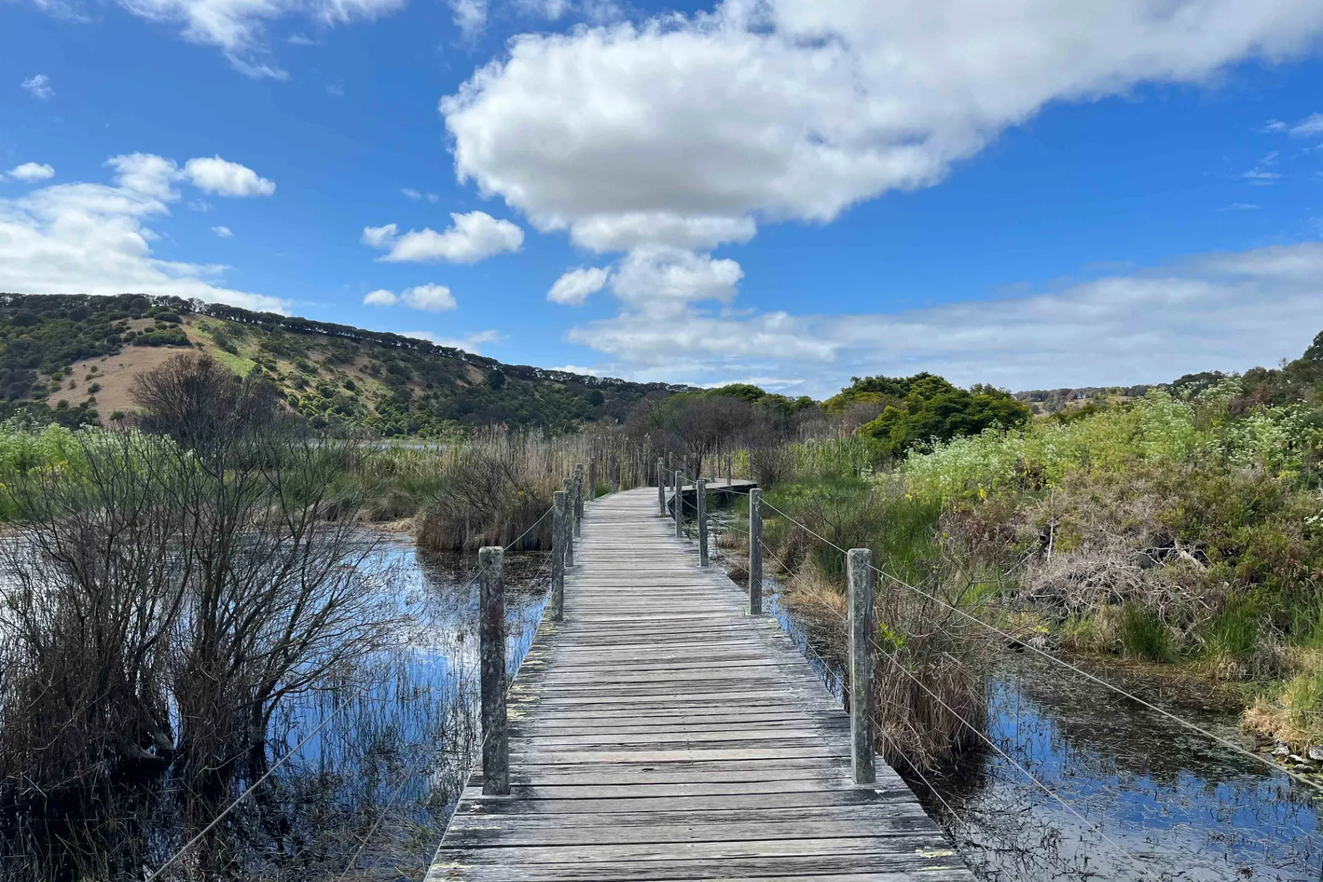 Rezerwat przyrody Tower Hill to dawne wulkaniczne jezioro kraterowe Rezerwat przyrody Tower Hill to dawne wulkaniczne jezioro kraterowe