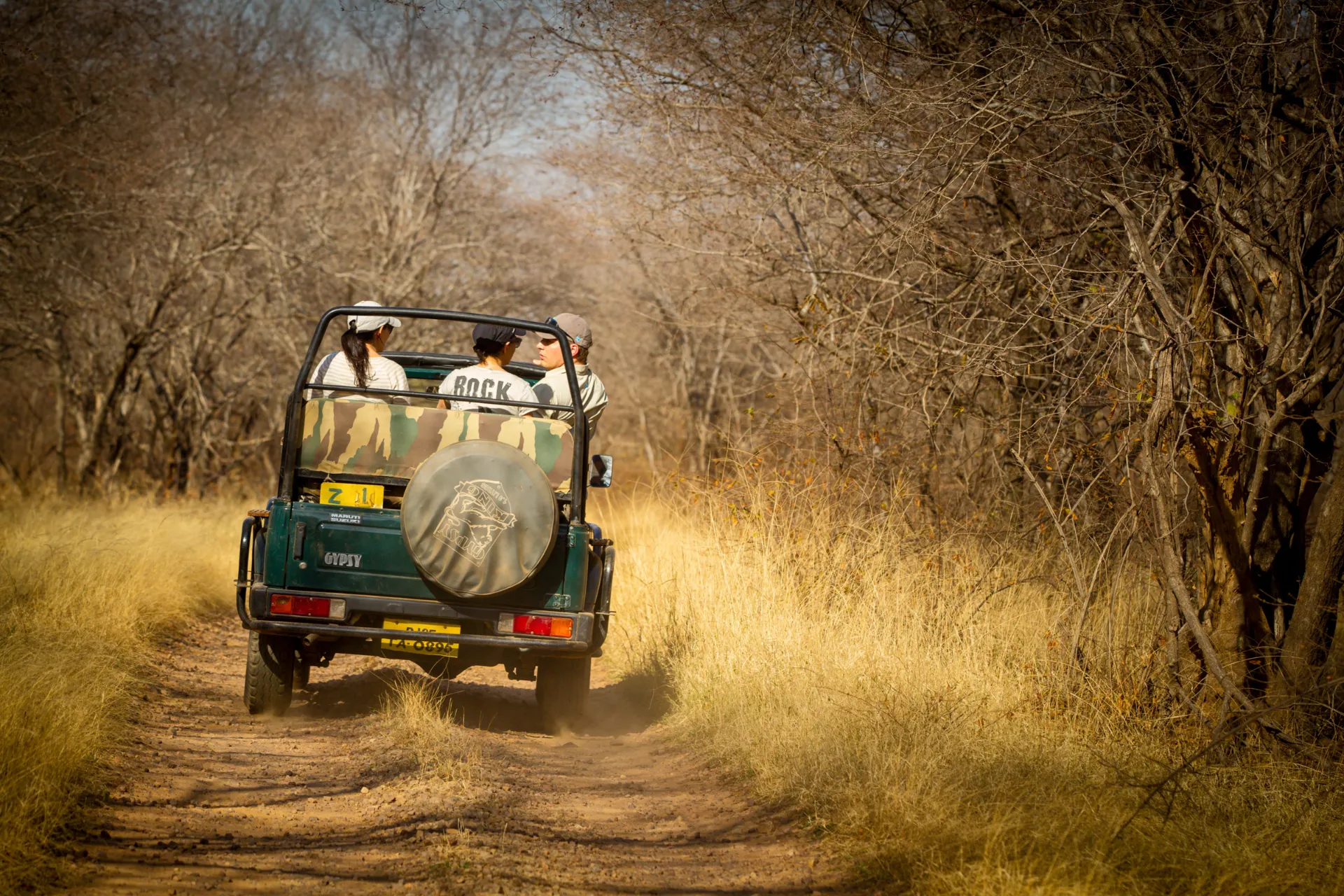 Park Narodowy Ranthambore Park Narodowy Ranthambore