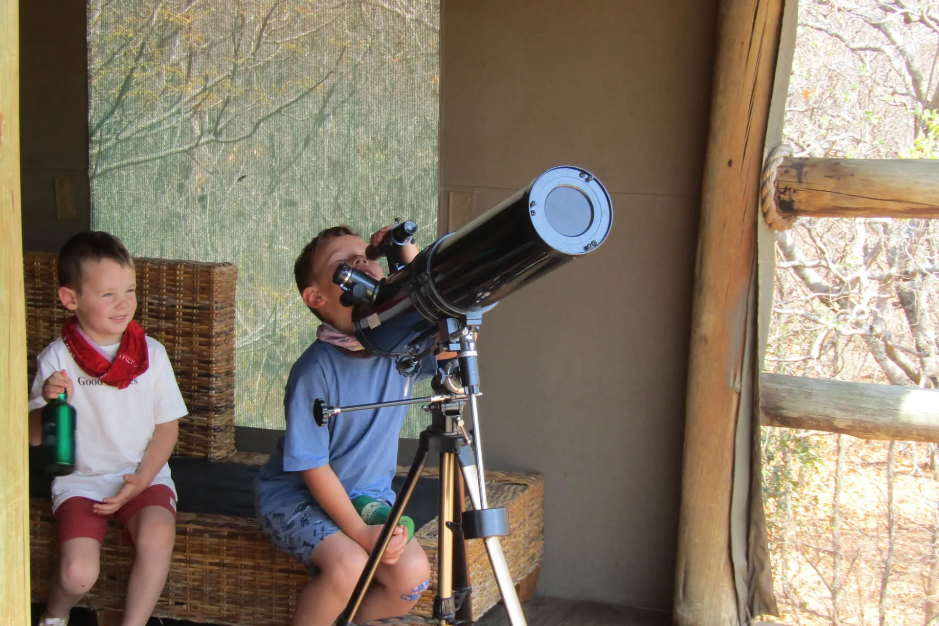 Boys will be boys Boys will be boys