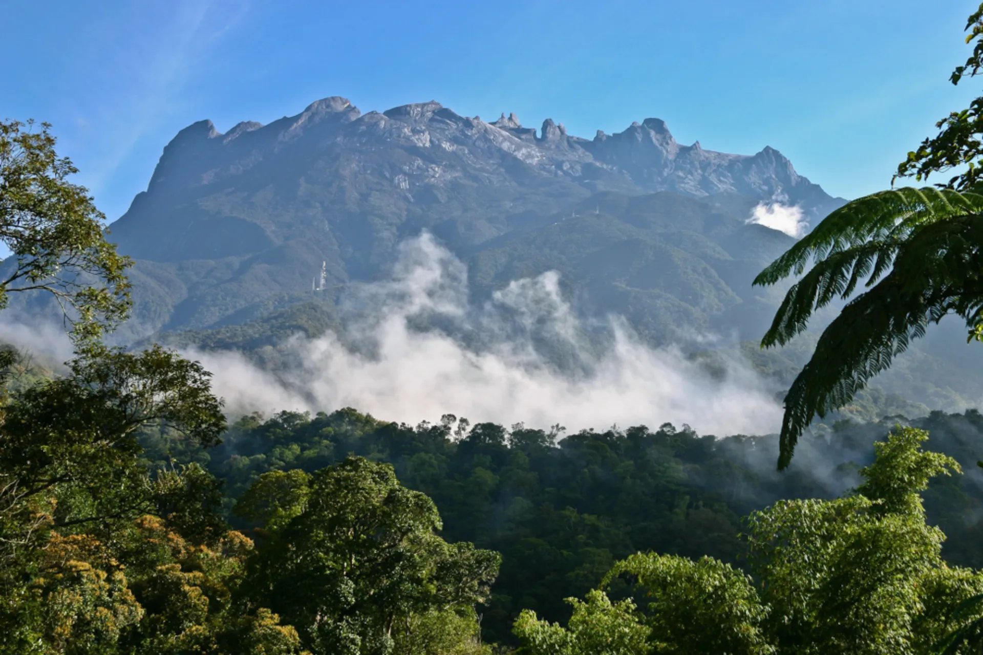Mount Kinabalu majestatycznie wznosi się nad bujnym tropikalnym lasem deszczowym Borneo