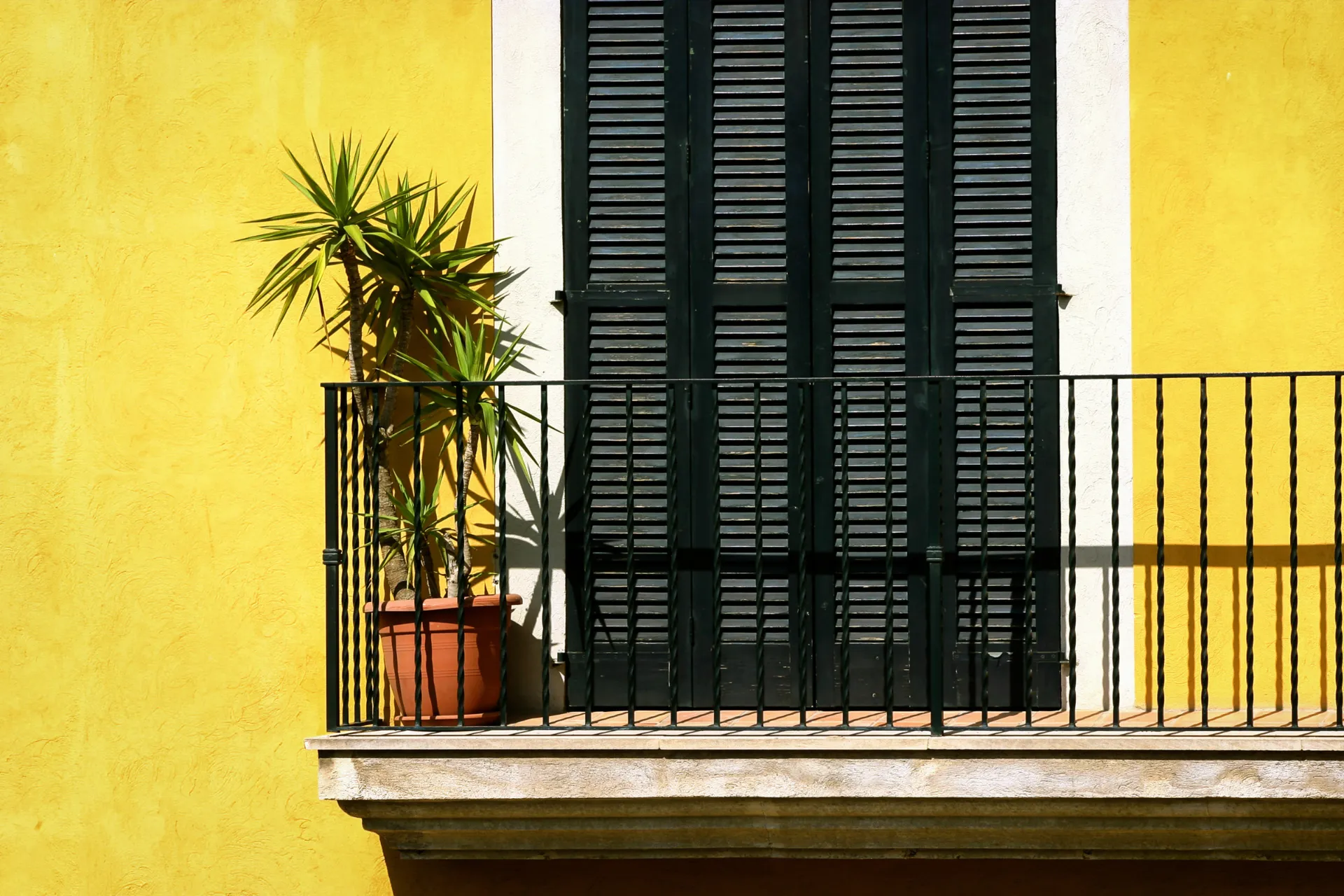 Cienisty balkon w Palmie Cienisty balkon w Palmie