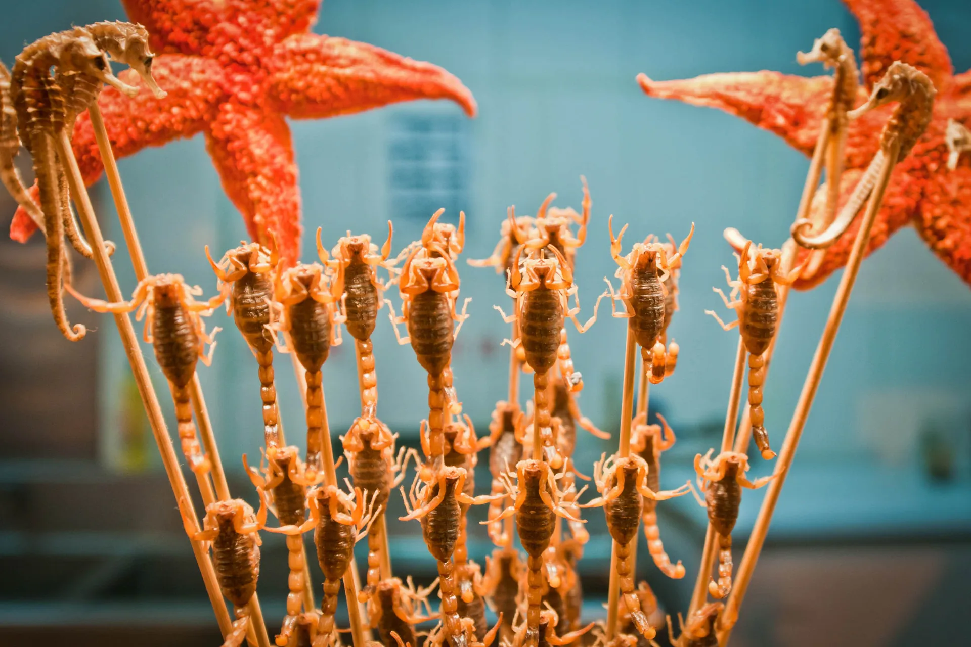 Skorpiony i rozgwiazdy na patykach – chińskie jedzenie uliczne