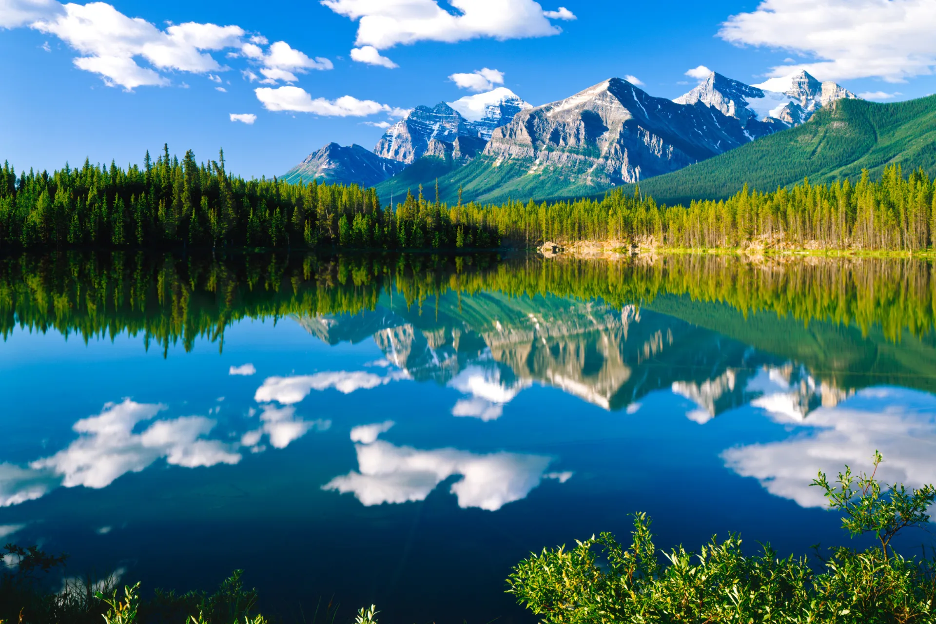 Zachwycająca przyroda w Parku Narodowym Banff Zachwycająca przyroda w Parku Narodowym Banff