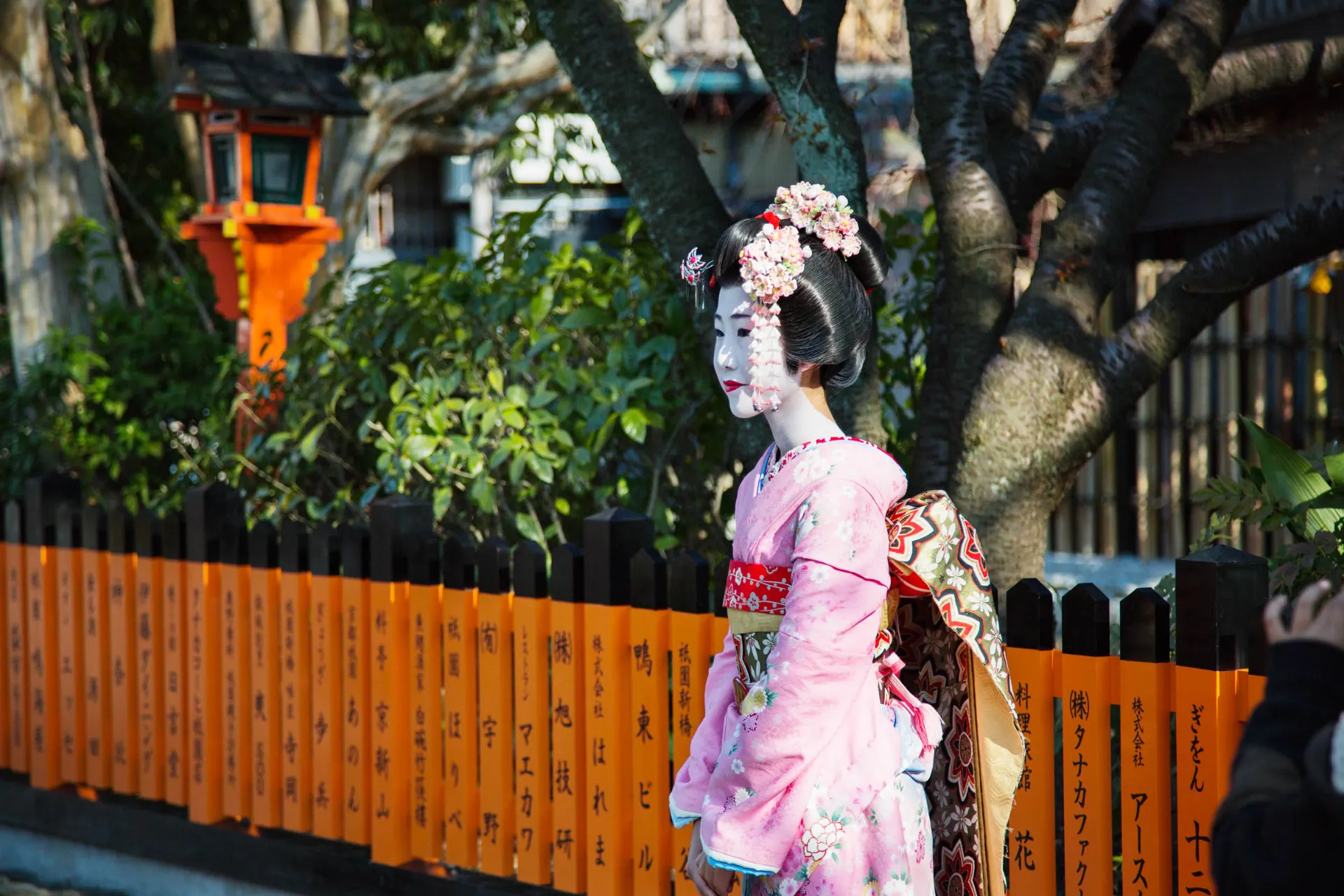 Dzielnica gejsz Gion, Kioto Dzielnica gejsz Gion, Kioto