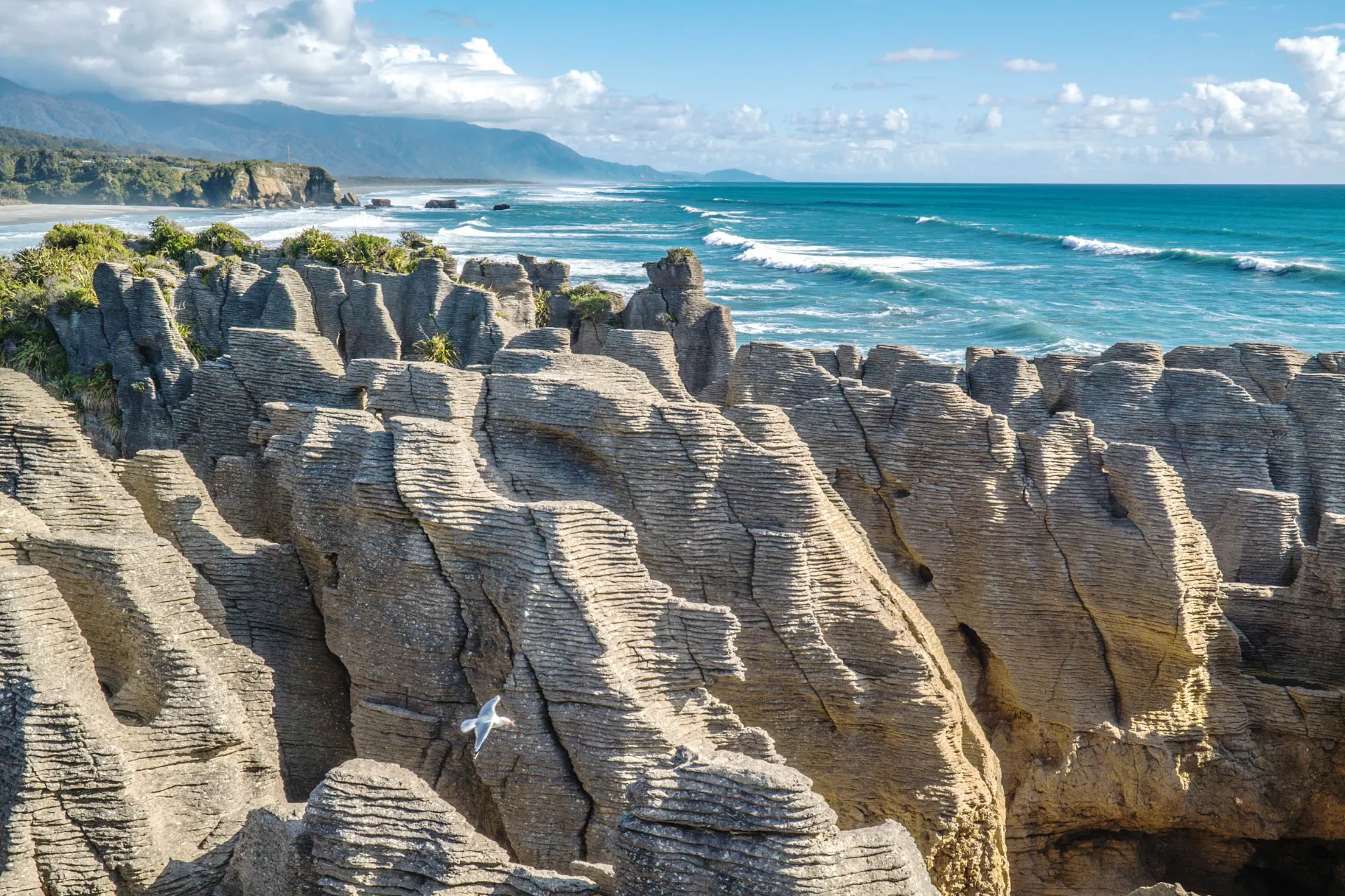 Pancake Rocks w Punakaiki Pancake Rocks w Punakaiki