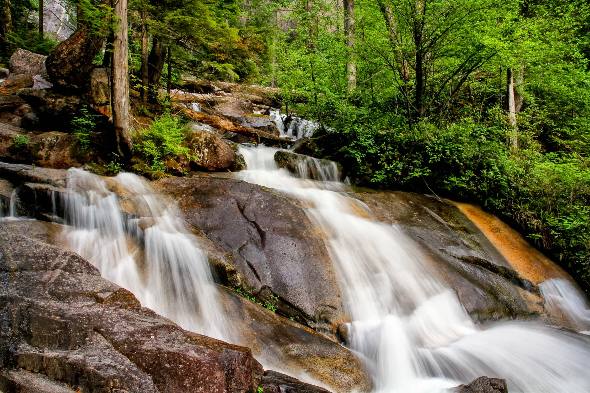 Wodospad w leśnym rejonie Shannon Falls, Kolumbia Brytyjska Wodospad w leśnym rejonie Shannon Falls, Kolumbia Brytyjska