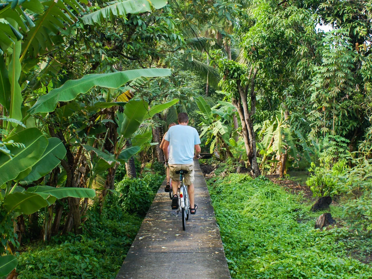 Wycieczka rowerowa w bujnej scenerii
