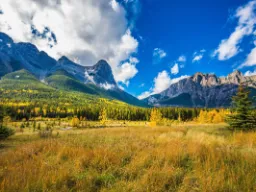 Jesienne barwy na łąkach i w lasach, z górskimi szczytami w pobliżu Canmore Jesienne barwy na łąkach i w lasach, z górskimi szczytami w pobliżu Canmore