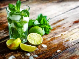 Mojito Mojito