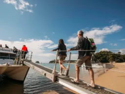 Wyrusz na przygodę w Parku Narodowym Abla Tasmana Wyrusz na przygodę w Parku Narodowym Abla Tasmana