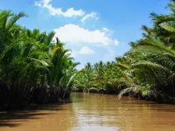 Krajobraz rzeczny w delcie Mekongu Krajobraz rzeczny w delcie Mekongu