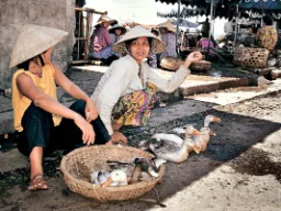 Kaczki na sprzedaż na targu Kaczki na sprzedaż na targu