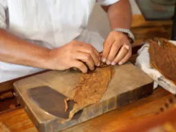 Z powodu koronawirusa i burz produkcja cygar spadła z 250 mln do 45 mln rocznie Z powodu koronawirusa i burz produkcja cygar spadła z 250 mln do 45 mln rocznie