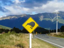 Charakterystyczny znak drogowy z ptakiem kiwi – narodowym ptakiem Nowej Zelandii Charakterystyczny znak drogowy z ptakiem kiwi – narodowym ptakiem Nowej Zelandii