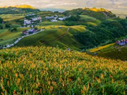 Dolina East River Dolina East River