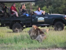 Zwierzęta postrzegają jeepa z ludźmi jako jedno stworzenie Zwierzęta postrzegają jeepa z ludźmi jako jedno stworzenie