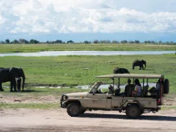 Słonie, słonie, słonie… Słonie, słonie, słonie…