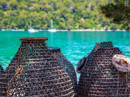 Tradycyjne chorwackie ruser Tradycyjne chorwackie ruser