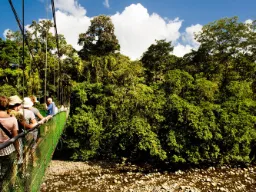 Wiszący most z widokiem na las deszczowy w Parku Narodowym Arenal, Kostaryka Wiszący most z widokiem na las deszczowy w Parku Narodowym Arenal, Kostaryka