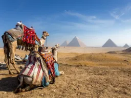 Bardziej egipsko już się nie da Bardziej egipsko już się nie da