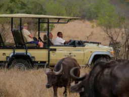 Jeep nie zawsze jedzie po drogach Jeep nie zawsze jedzie po drogach