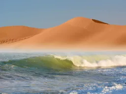 Skeleton Coast/Pustynia Namib to jedno z niewielu miejsc na świecie, gdzie pustynia styka się bezpośrednio z oceanem
