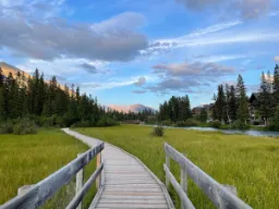 Drewniany most przez łąki w pobliżu Canmore Drewniany most przez łąki w pobliżu Canmore