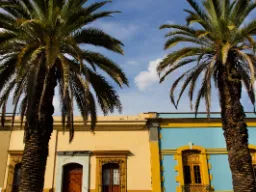 Klasyczna architektura kolonialna z pastelowymi domami, wysokimi palmami i błękitnym niebem Klasyczna architektura kolonialna z pastelowymi domami, wysokimi palmami i błękitnym niebem