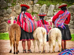 Kobiety w tradycyjnych strojach z lamami w Andach Kobiety w tradycyjnych strojach z lamami w Andach