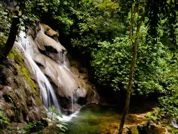 Tropikalny las z oazą wodospadu Tropikalny las z oazą wodospadu