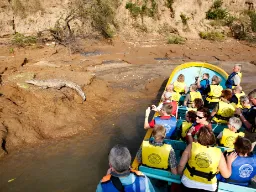 Rejs przez wąwóz Sumidero z krokodylem amerykańskim, który może osiągnąć do 5 m długości Rejs przez wąwóz Sumidero z krokodylem amerykańskim, który może osiągnąć do 5 m długości