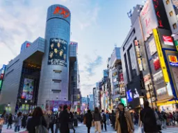 Przejście dla pieszych w dzielnicy Shibuya w Tokio