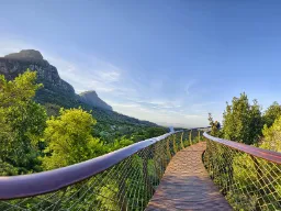"Boomslang" Canopy Walkway w Kirstenbosch (Kapsztad) znajduje się 12 m nad ziemią i ma 130 m długości "Boomslang" Canopy Walkway w Kirstenbosch (Kapsztad) znajduje się 12 m nad ziemią i ma 130 m długości