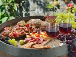 Włoskie antipasti z winem i winogronami
