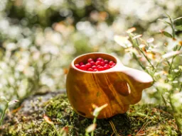 „Kuksa” (drewniany kubek) z jagodami leśnymi – fińska natura w najczystszej postaci „Kuksa” (drewniany kubek) z jagodami leśnymi – fińska natura w najczystszej postaci