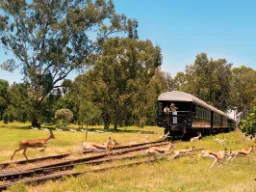 Luksusowy pociąg Rovos Rail Luksusowy pociąg Rovos Rail