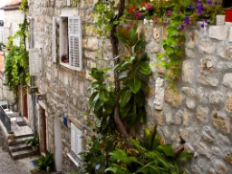 W dubrownickiej starej części miasta W dubrownickiej starej części miasta