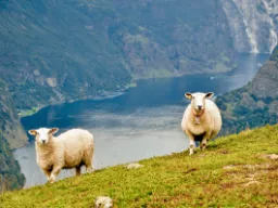 Fiordy i strome zbocza górskie Fiordy i strome zbocza górskie