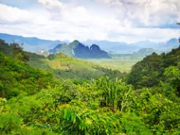 Park Narodowy Khao Sok w prowincji Surat Thani Park Narodowy Khao Sok w prowincji Surat Thani