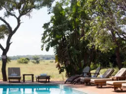 Basen z widokiem na sawannę