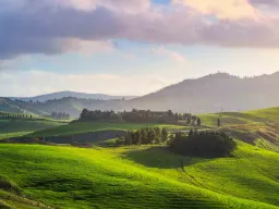 Montecatini Terme z zielonymi wzgórzami i bujną przyrodą
